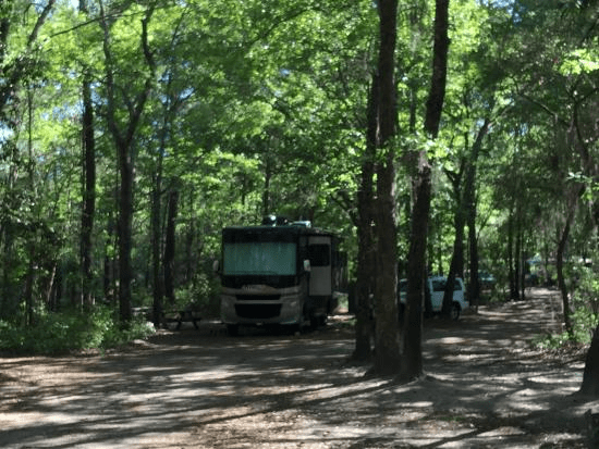 Tuck In The Wood Campground